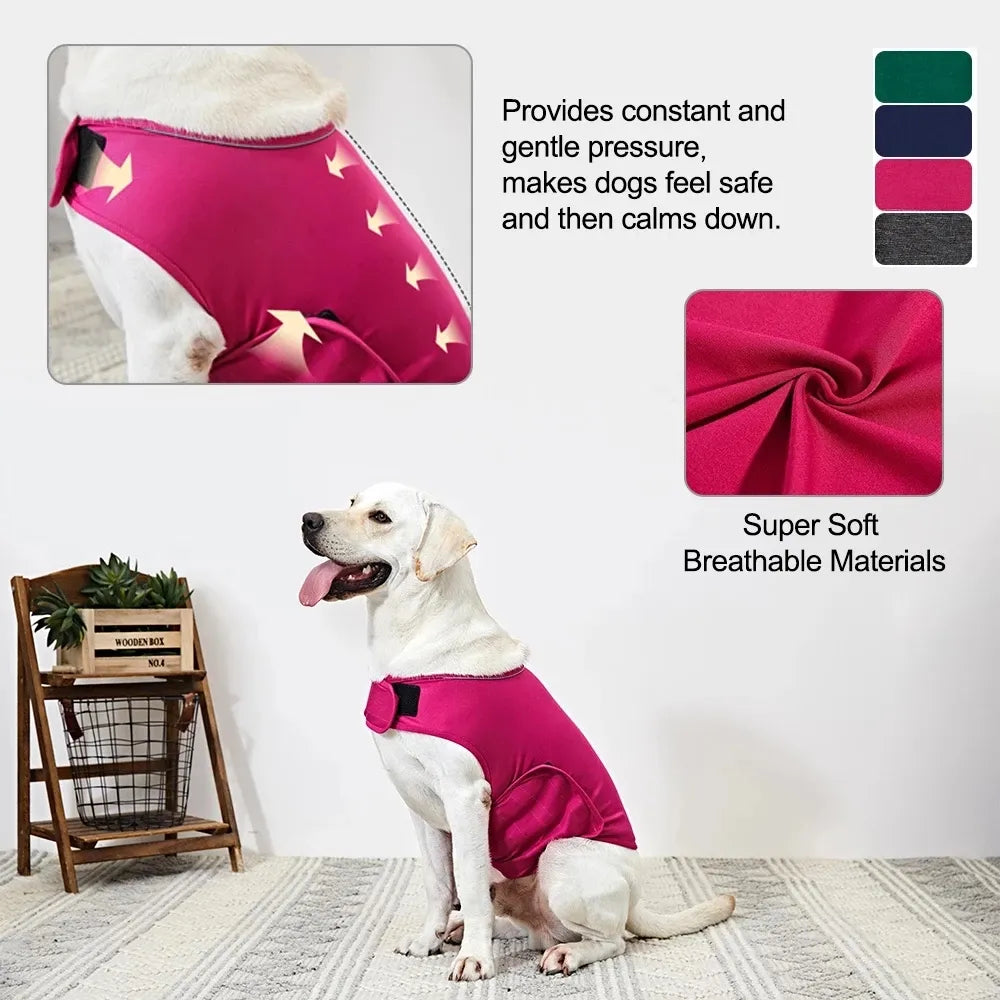 Thunder Vest