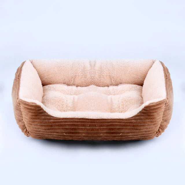 Best Beds