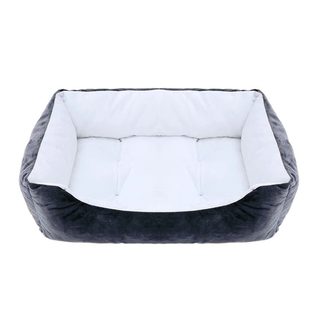 Best Beds