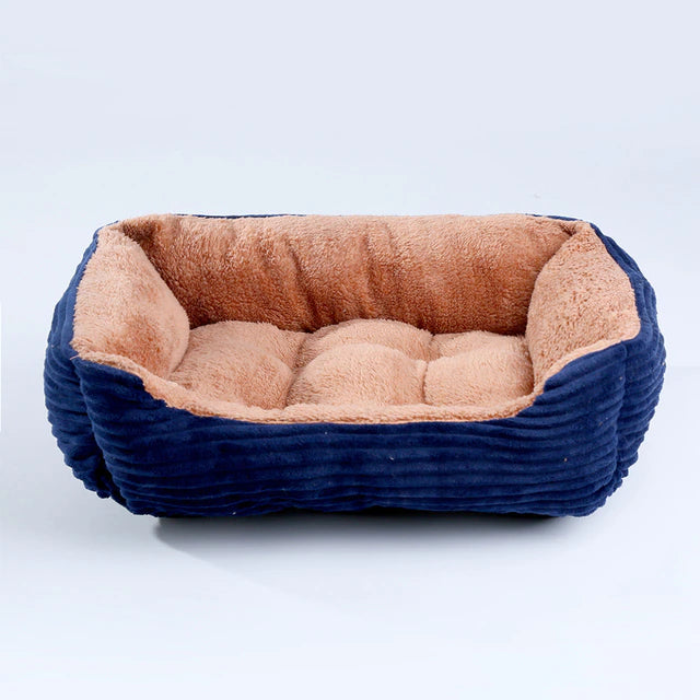 Best Beds