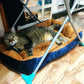 Best Beds