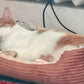 Best Beds