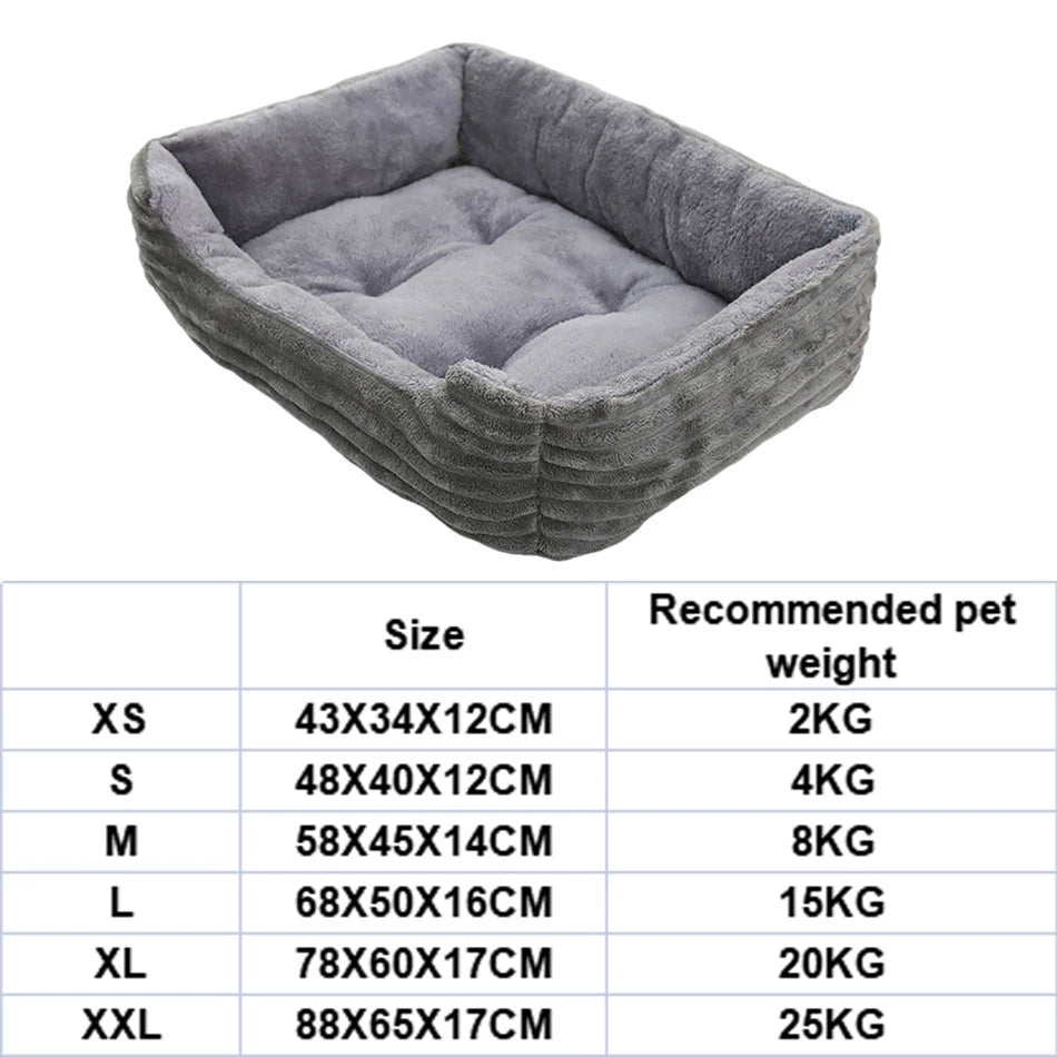 Best Beds